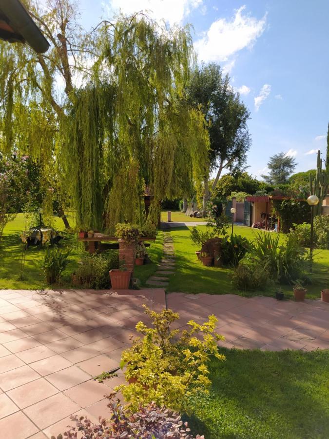 Villa Favilli Пиза Екстериор снимка