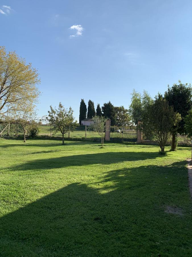 Villa Favilli Пиза Екстериор снимка