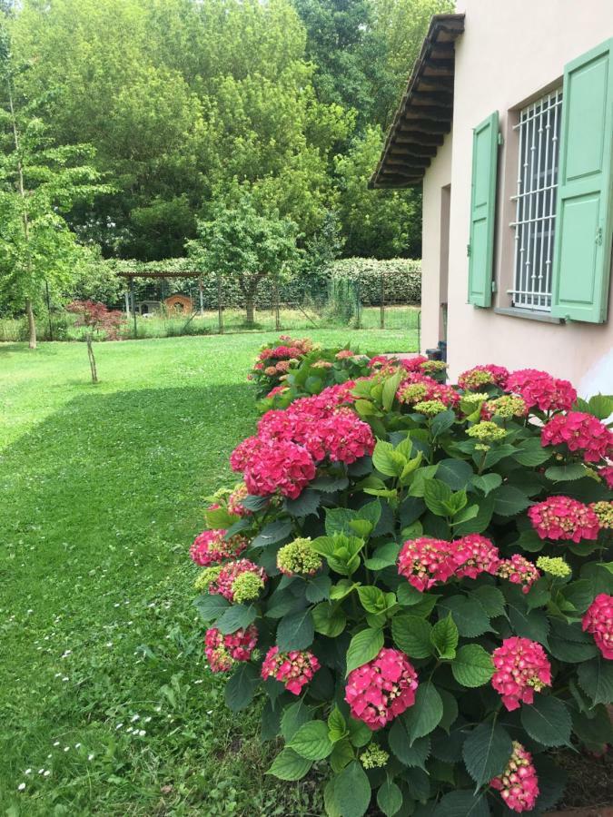 Villa Favilli Пиза Екстериор снимка